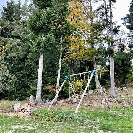 Ancienne Ferme Renovee En Bordure De Foret Avec Terrasse, Balancoire Et Travaux Modernes - Fr-1-582-254