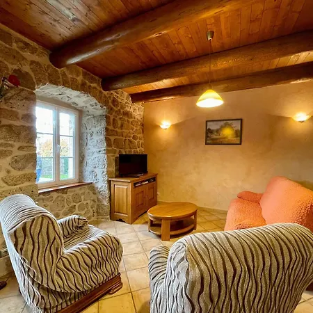 Ancienne Ferme Renovee En Bordure De Foret Avec Terrasse, Balancoire Et Travaux Modernes - Fr-1-582-254 * Saint-Jeures